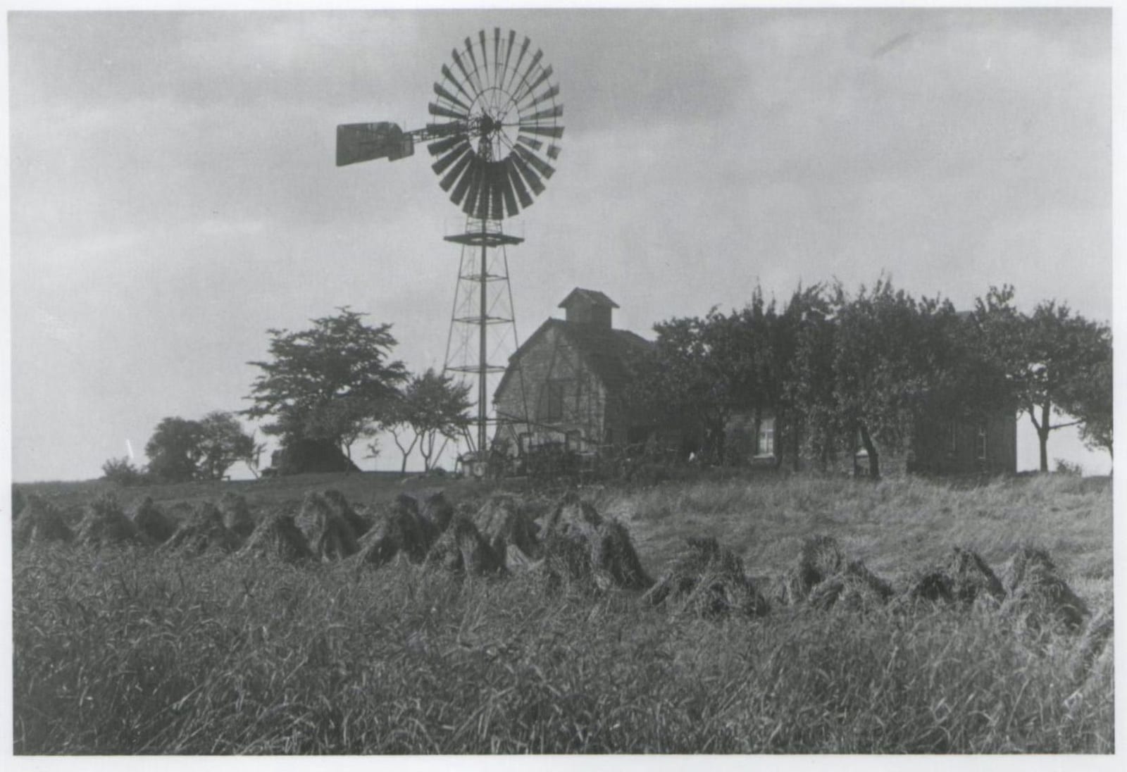 haarholzer-strasse-witthuesers-windmuehle-bochum-stiepel