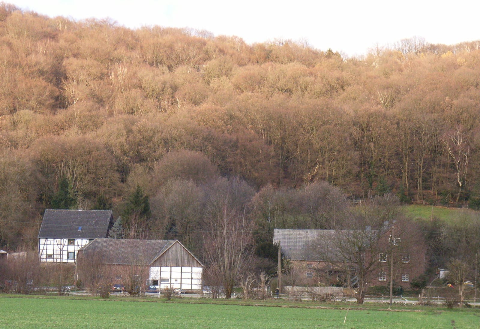 Der ehemalige Hof Henke an der Brockhauser Straße, heute im Besitz des Landwirts Große-Munkenbeck