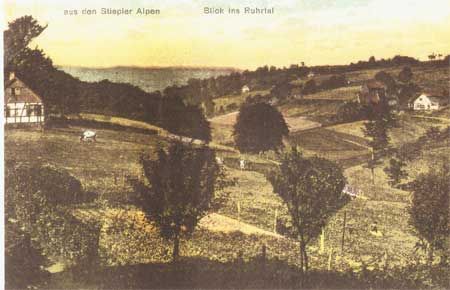 Die Postkarte (vermutlich vor 1920) gibt den Blick wieder von der heutigen Gräfin-Imma-Straße in Höhe des griechischen Restaurants in Richtung Pastoratsbusch / Henkenberg