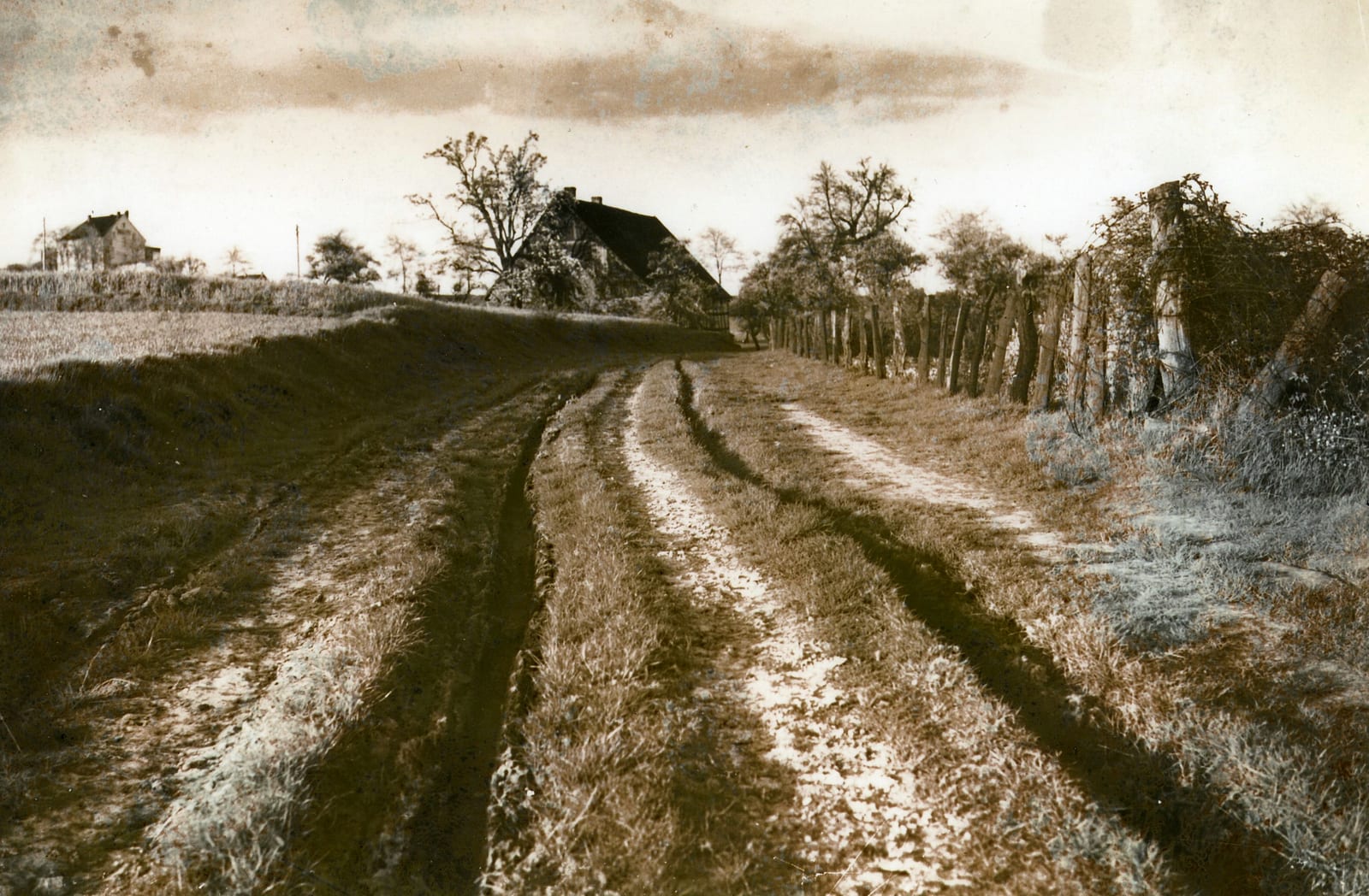 Der obere Teil der heutigen Nettelbeckstraße mit Blick auf den alten "Hof Nettelbeck". Links oben ist das als "Gaststätte Heil" bekannte Haus zu erkennen (vor 1930) Foto: F. Pieper